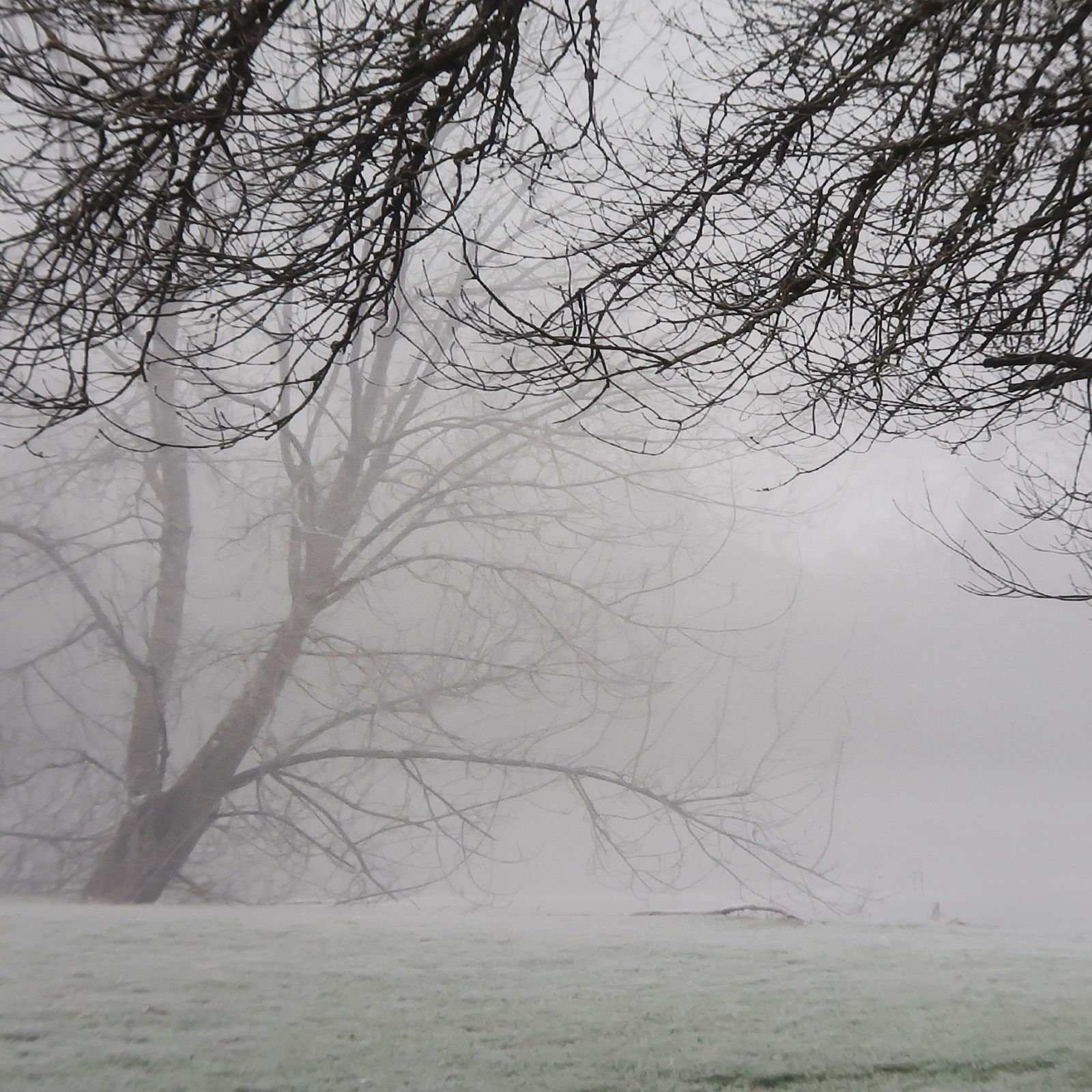 005_retouche-49f05c8811565b9d9acd008c1211afd5