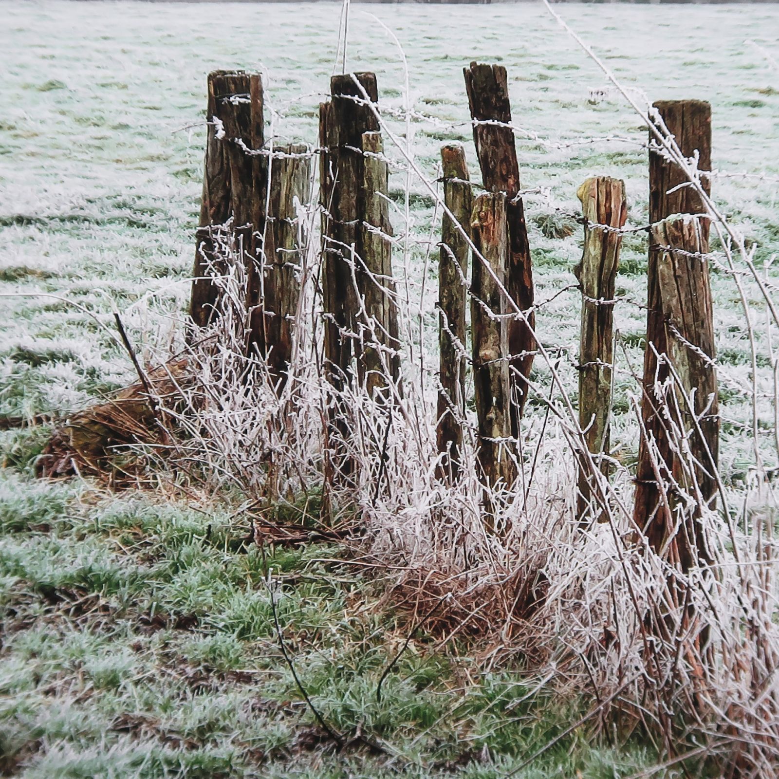 007_retouche-a7eee7d2e1056a737c0c0571b449c3ef