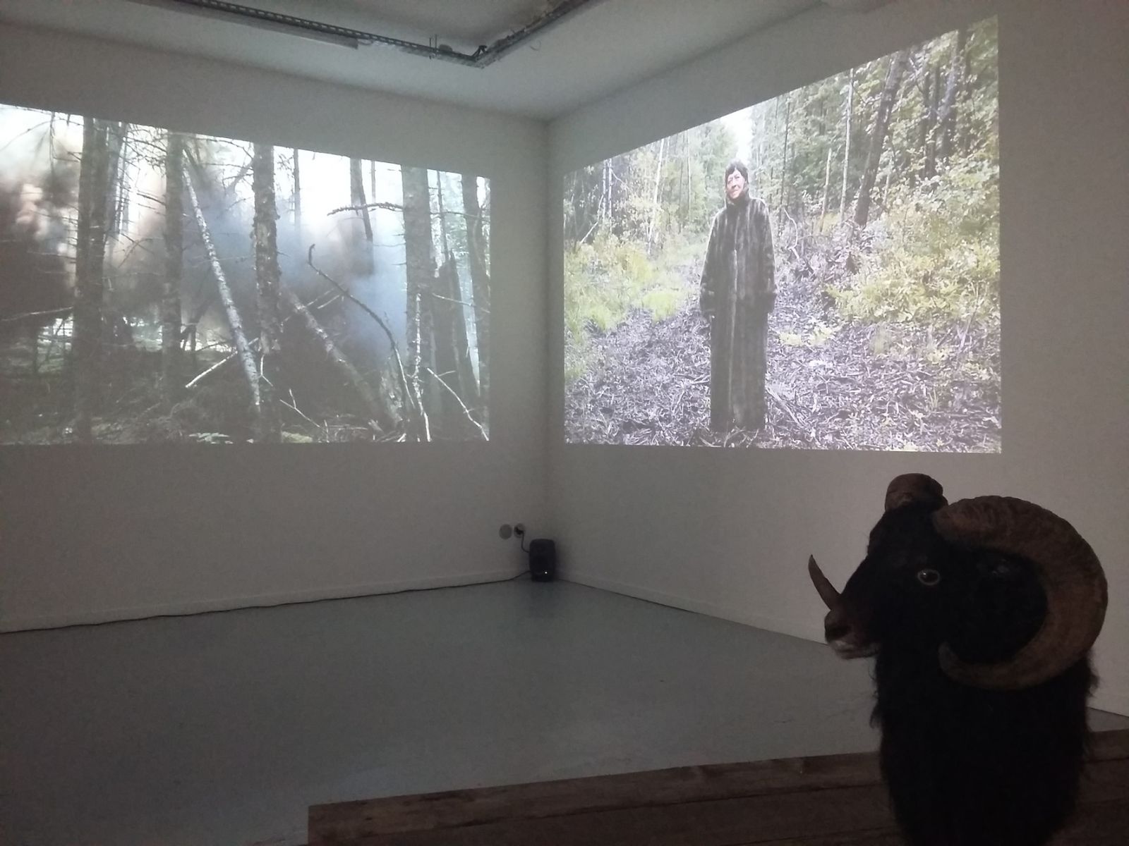 20161001_141859-472ebbc9e050c46f431d5f3a6716c9b3