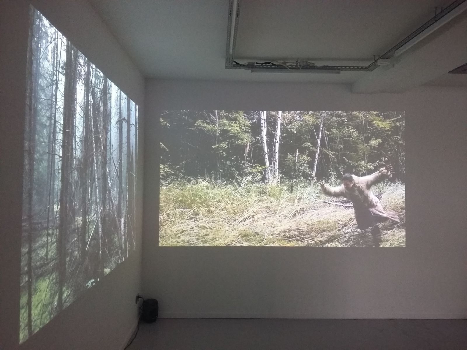 20161001_142059-59b1c957dbe9f34b16080ac386d20fa9