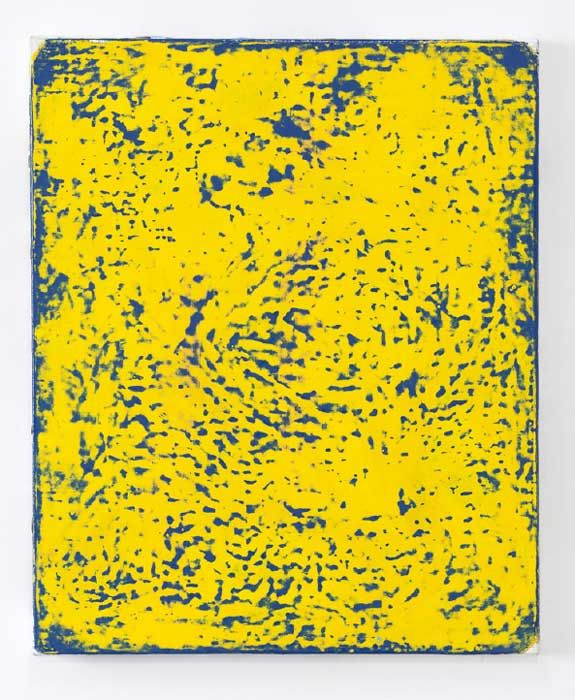 e.cheneau-128-bleu-jaune-46-x-38-2016-2017-bdc2ea494f54c77bbf254515960321b6