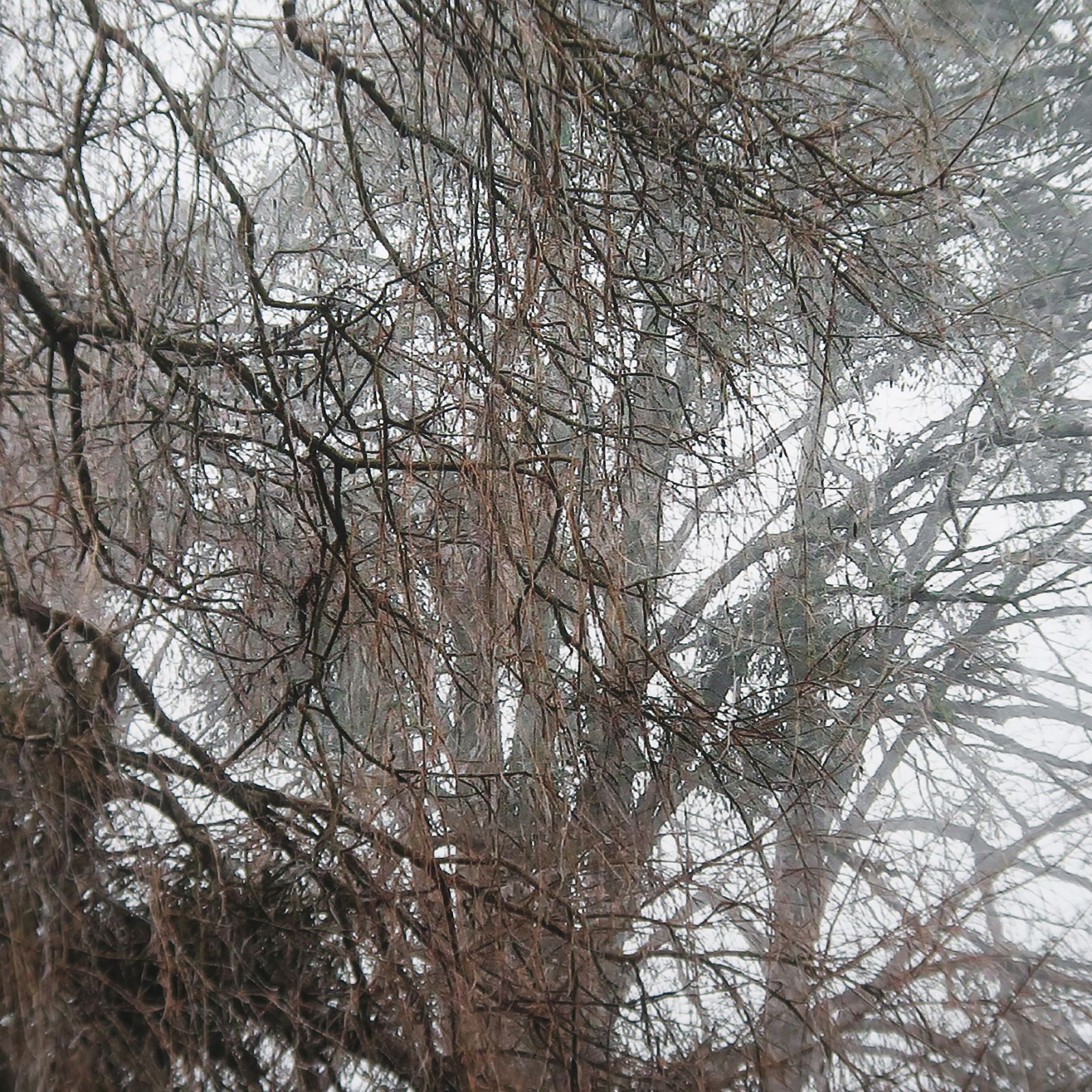 006_retouche-2b4164d1ff4560f7d6b5701ba27cac82