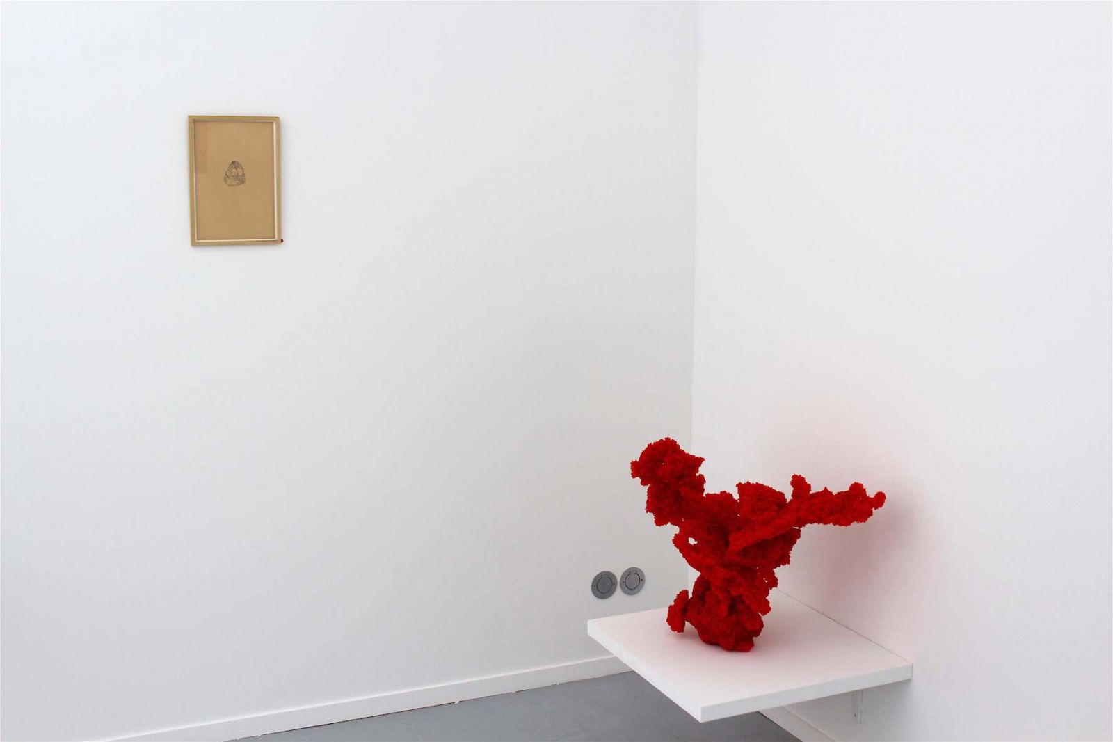 06-caillliou-pg-6057ea2a28554d996637409a4c2a0715