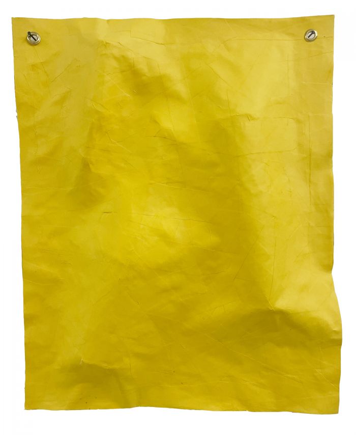 09-yellow-paper-pled-4961dcd6696a59fde0312aae17548a57