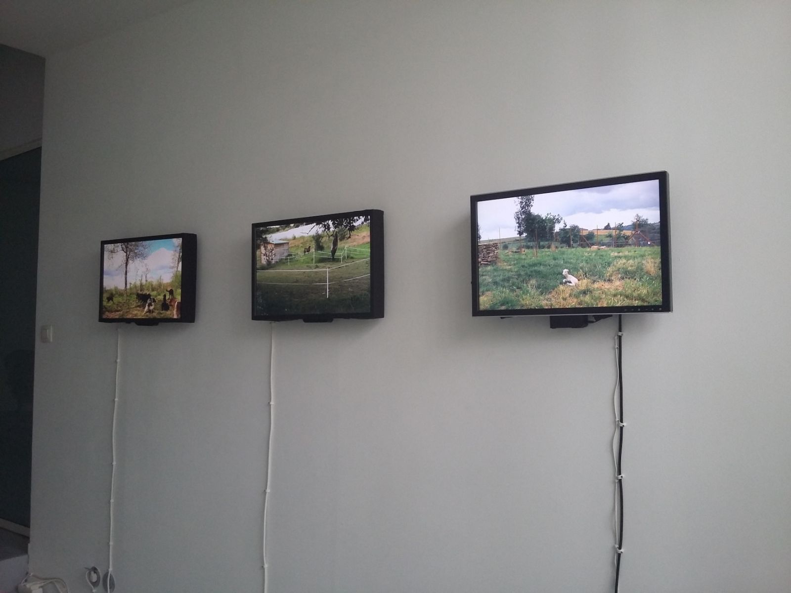 20161001_141615-3c4378837d3a6c6c8c88c1493c725e4e