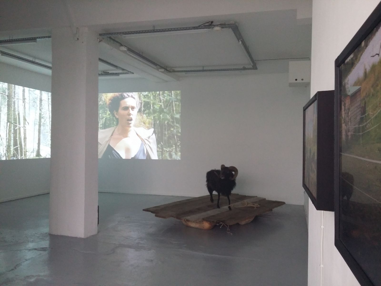 20161001_141647-8194697304ae135ff2e2e6631e9da32a