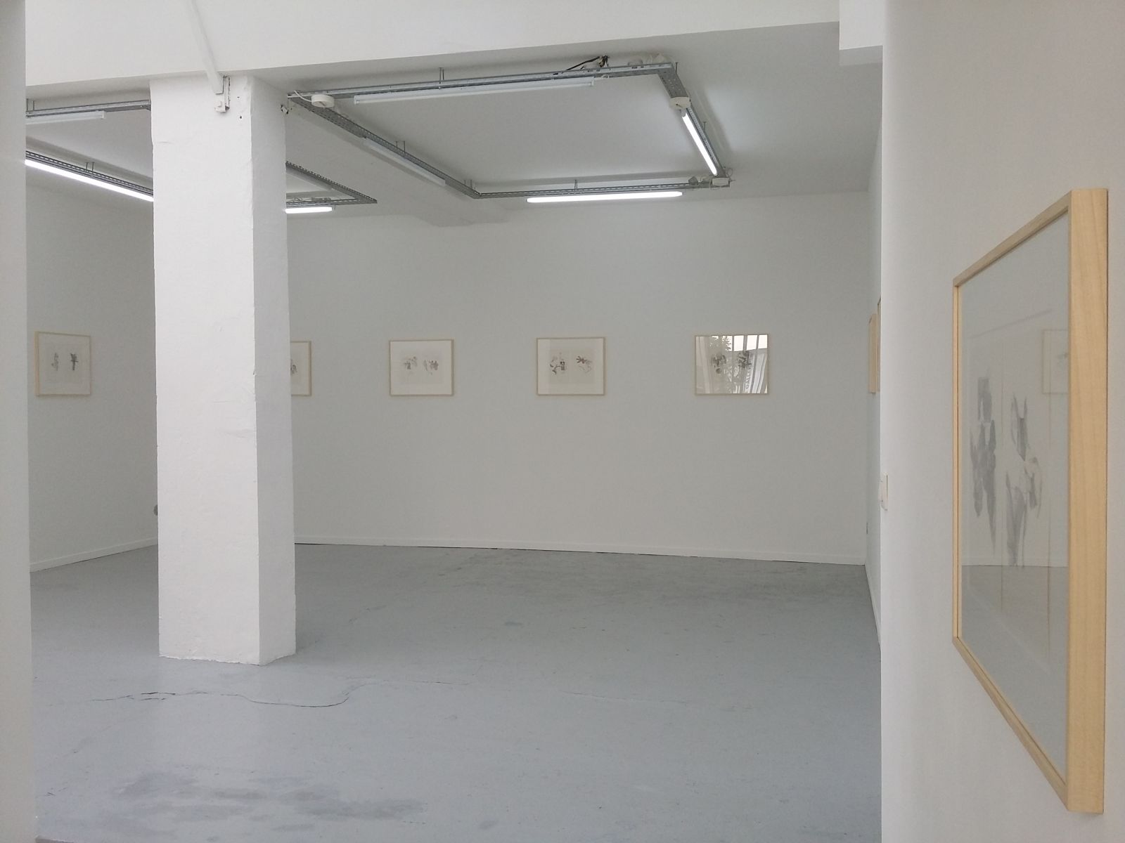 20170415_151743-e90f2c7fb9a8cbf77e3f710459bf3d96