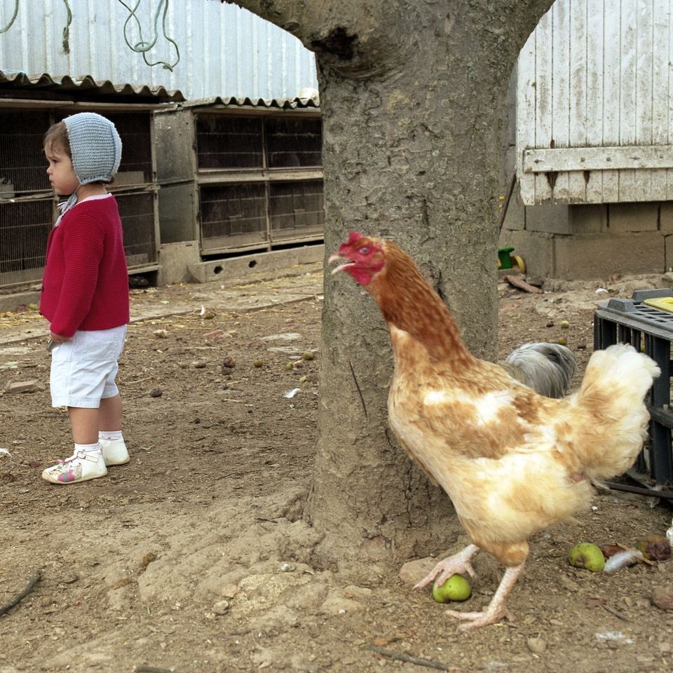 25les-coupes096-4198ce8a10f4ab783f4f7fc28e07a145