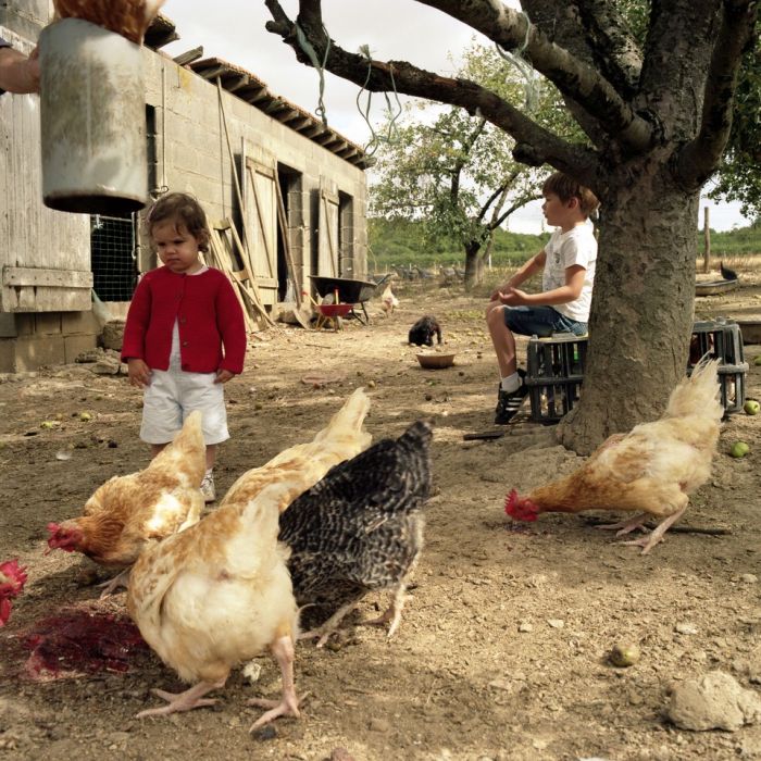 26les-coupes056-f9df2d500402e665ae0cf2e0eff5ca12