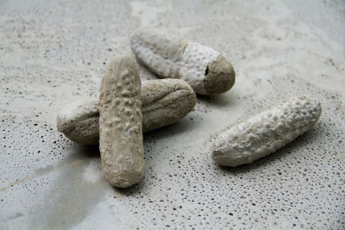 alicia-zaton-ogurki-2014-serie-de-moulages-de-cornichons-en-beton-tirage-unique-dimensions-variables-entre-12-et-4-cm-256c79dabd804c0454f28feb63a25678