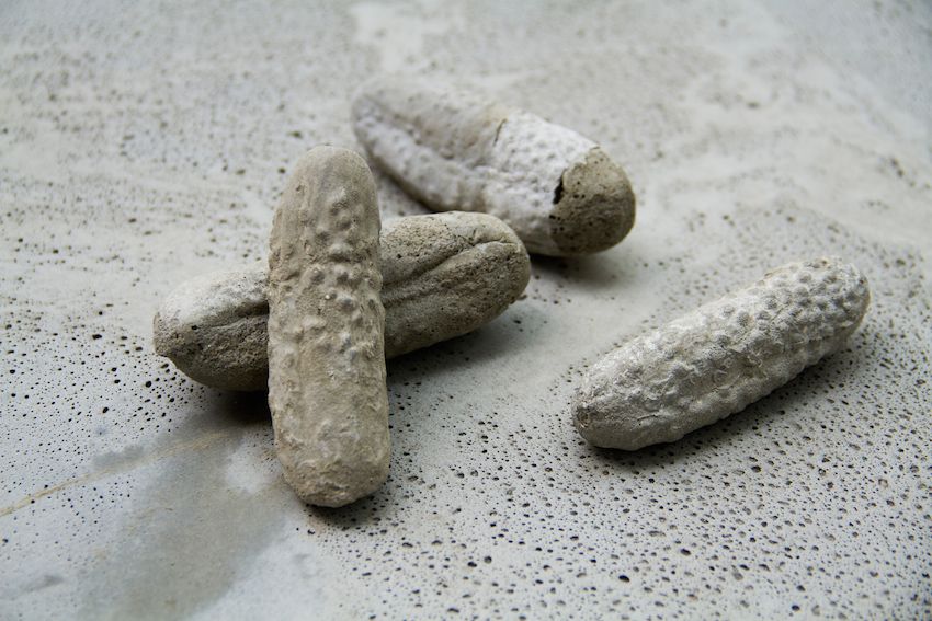 alicia-zaton-ogurki-2014-serie-de-moulages-de-cornichons-en-beton-tirage-unique-dimensions-variables-entre-12-et-4-cm-3617b05e5a763f405d8ec993a468f0ea