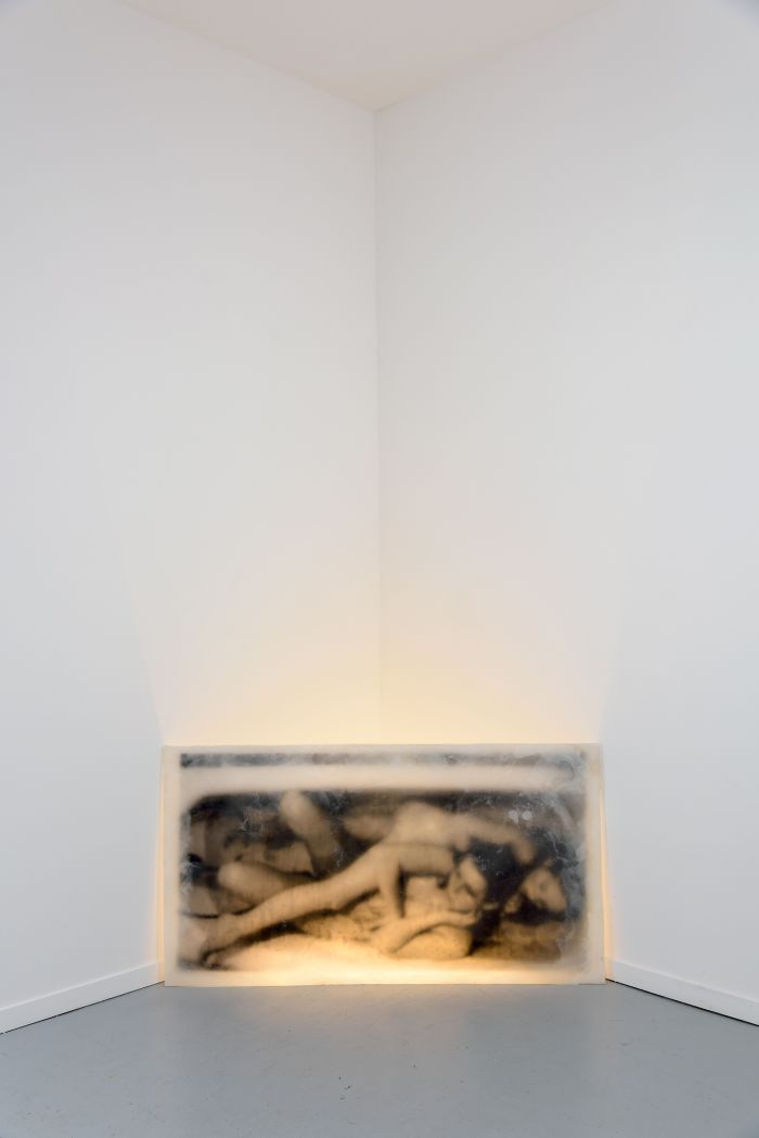 alicia-zaton-umyj-sie-2014-image-emprisonnee-dans-une-plaque-de-cire-paraffine-eclairage-fluo-69x128cm-e04882eec7a850f39bc4a284426c2f43