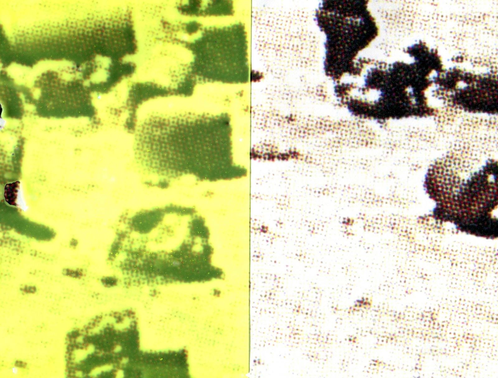 descolonnesnemoinscom-light-ddceedb037539b22811054a676b0a1da