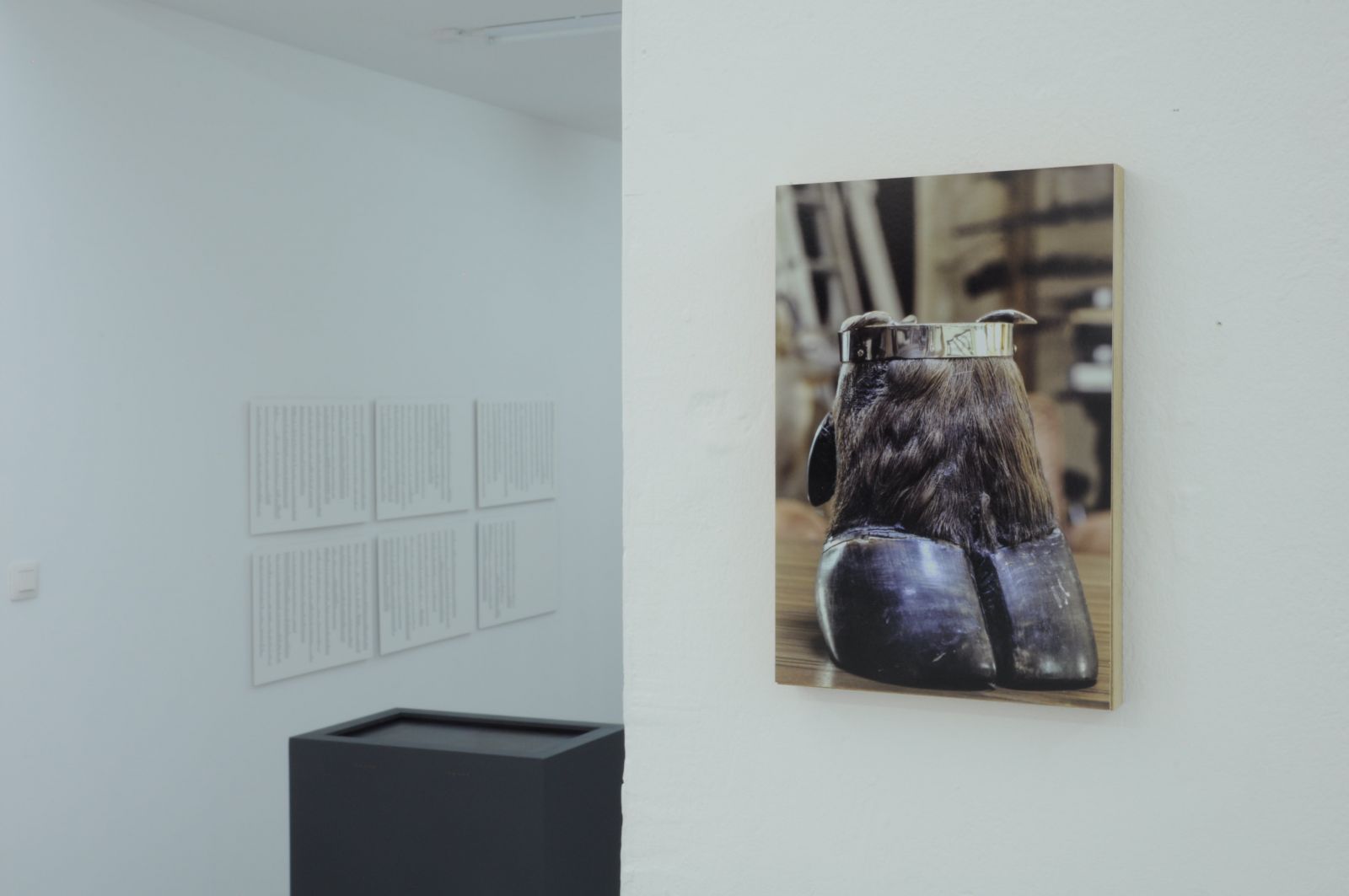 dsc_0128-49cf7b1ad06adec3ccfe437831445e96