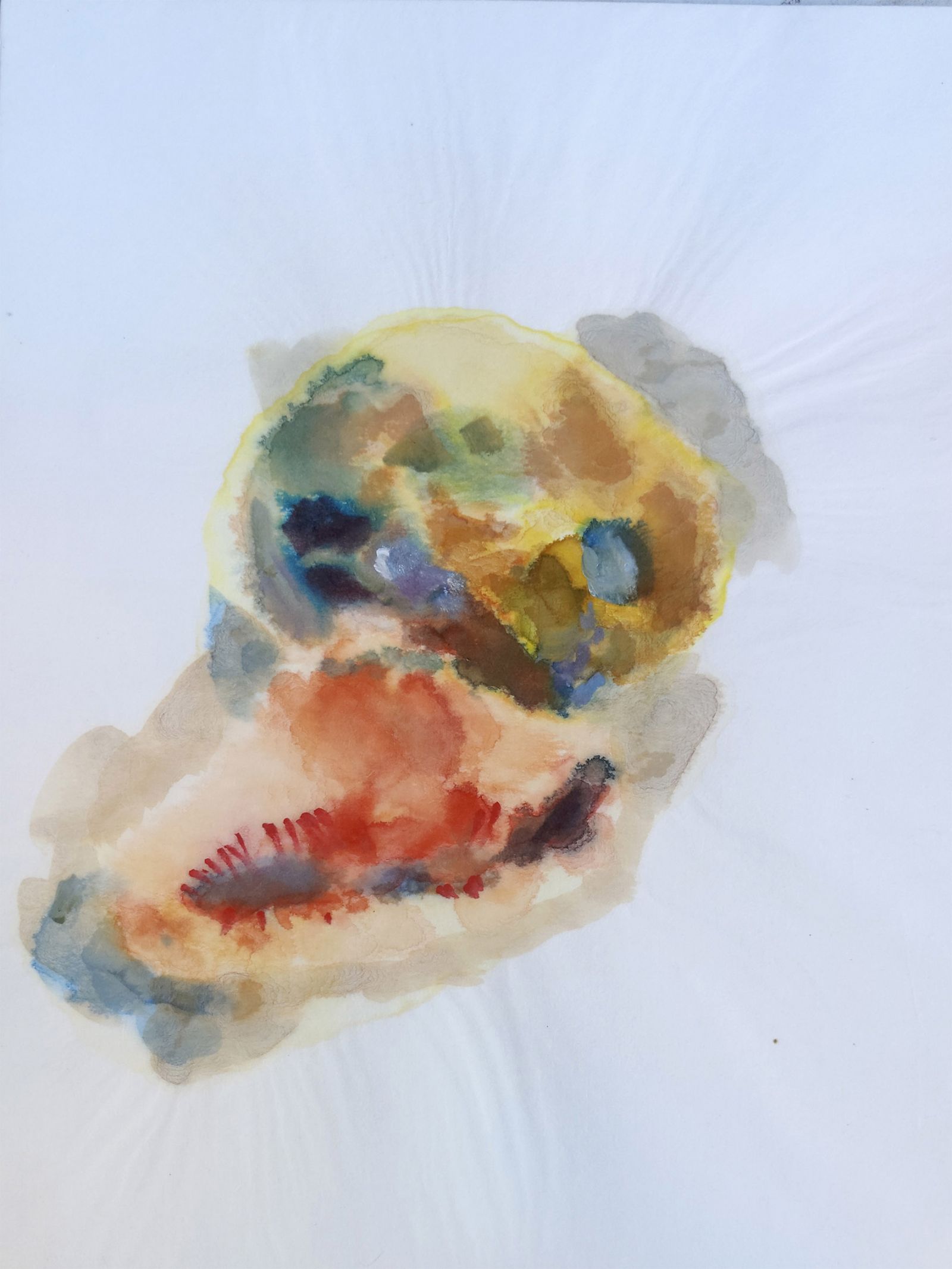 er-4_enfantcrane-coquillage-copie-light-6a226c98df6e256f79bf70ca86c71c97