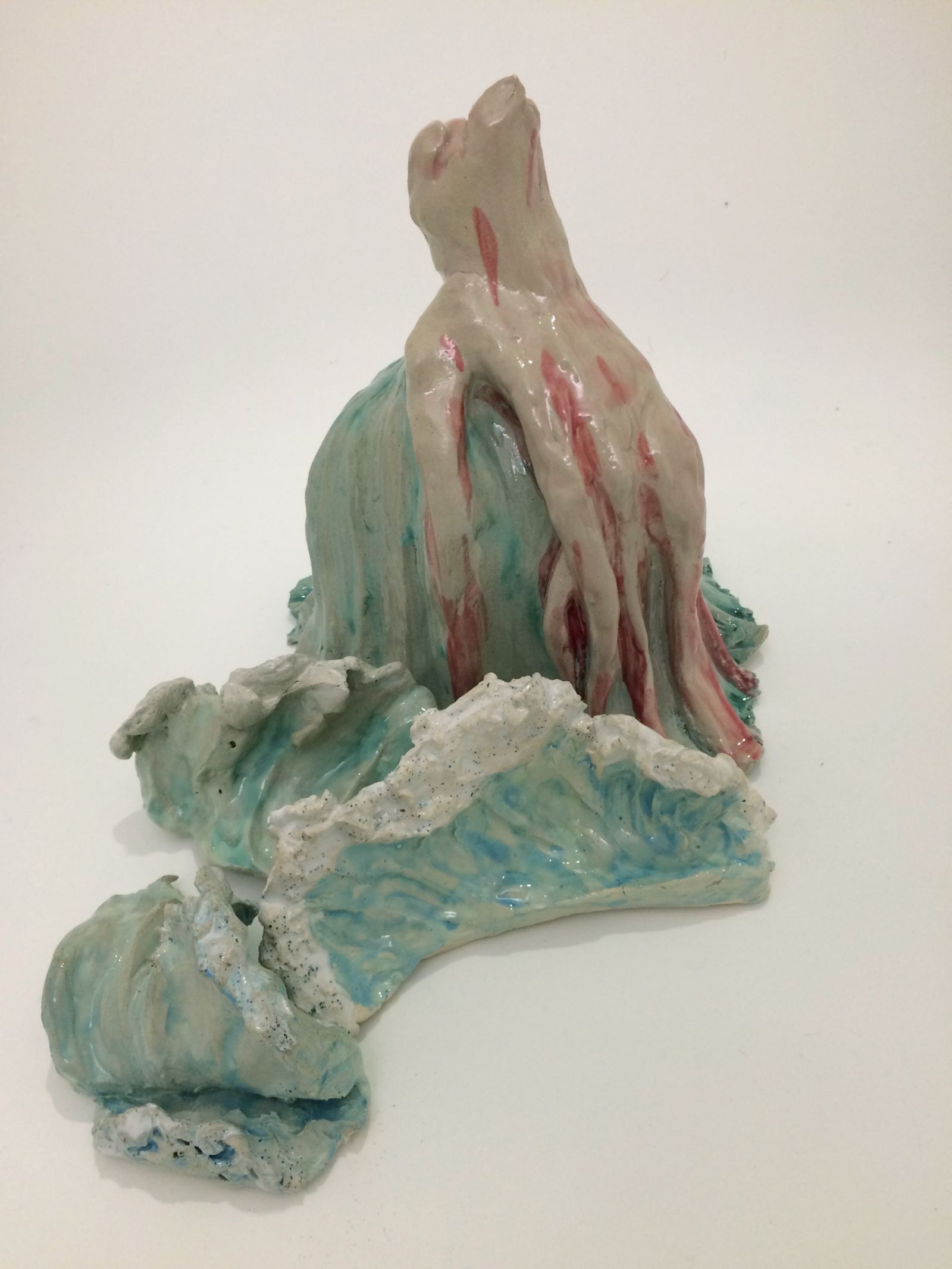 img_216811-fond-blanc-816d71ccd1d7a3b5ffb896d40c75ba35