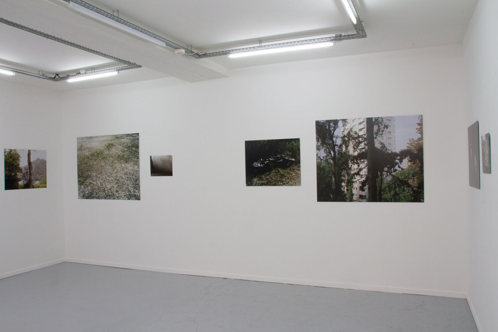 img_5028-48b21b34207ab1a3dfb15fd1f384db4f