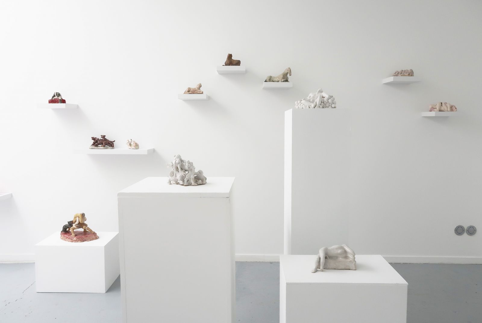 img_8126-a4501d146825669f2aeb11db13003d98