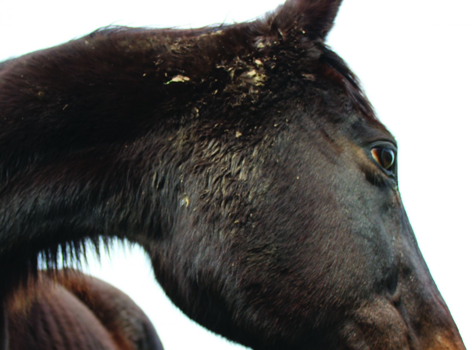 invit-julie-chaffort-rv-160824-recto-0598bfe3001ebb92685a82e8d172096d