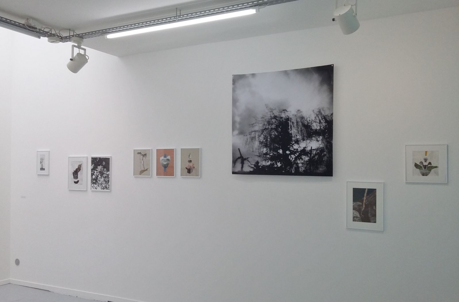 ja3-15070b36f50dd705844cf1756f9b812c