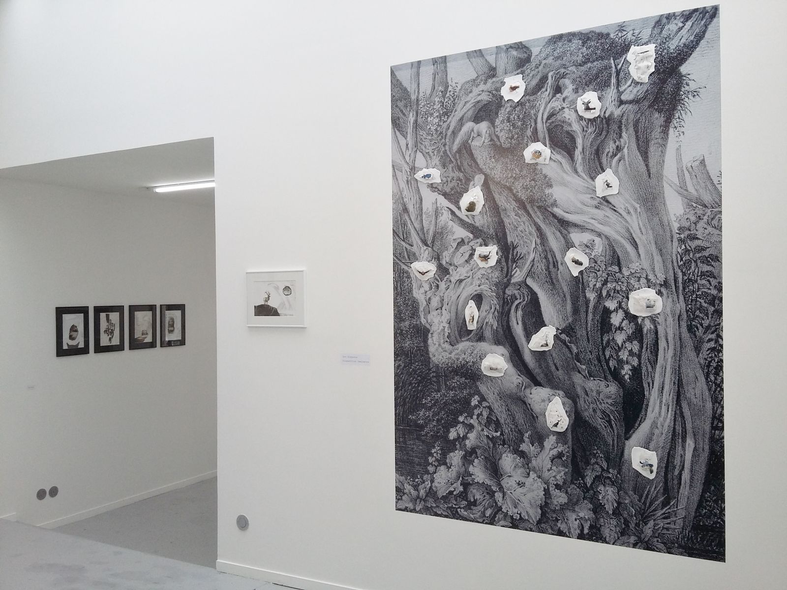 ja4-c0afec0a406f3467cee6f440431567bb