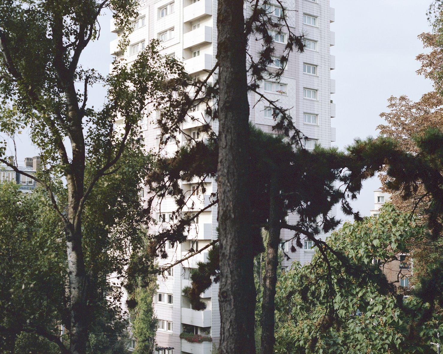 margaret-dearing-ici-1-2014-tirage-contrecolle-sur-dibon-100x125cm-cf74e3f83cc85d06336d200e66a43357