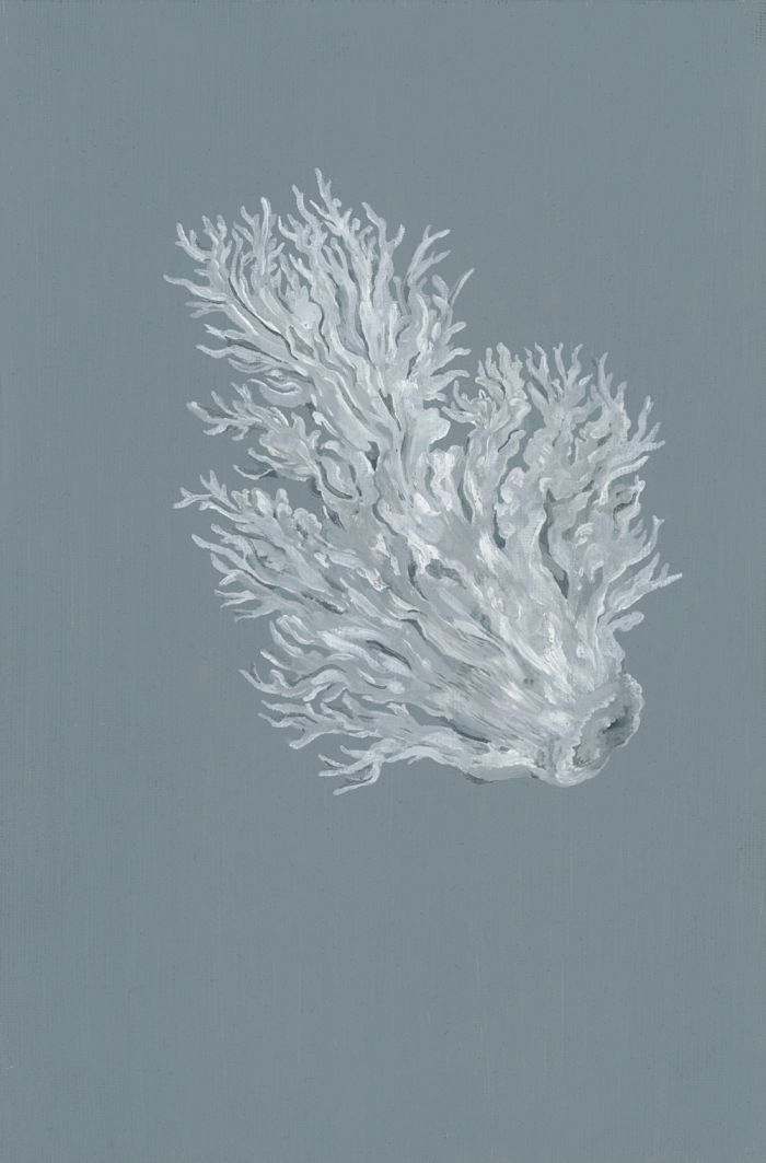 mdv-fantomes_corail-blanc_peinture-issue-d-une-serie-en-cours-de-realisation_huile-sur-carton-entoile_24x16_2018_900e-ac6a58c455b3a49a765b860b01743042