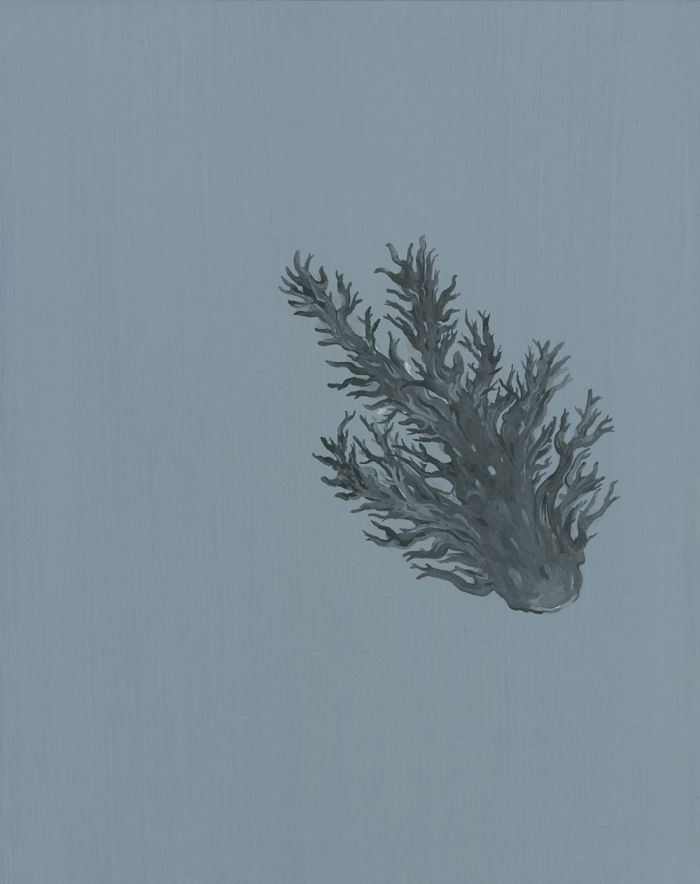 mdv-fantomes_corail-noir_peinture-issue-d-une-serie-en-cours-de-realisation_huile-sur-carton-entoile_29.7x23.7-2018-1200e-70206281845e305d810b10890ba62465