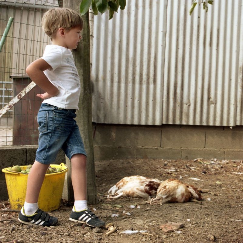 pb-23les-coupes095-36923c6cc448b8f3ac39e00e0c9bb9f1